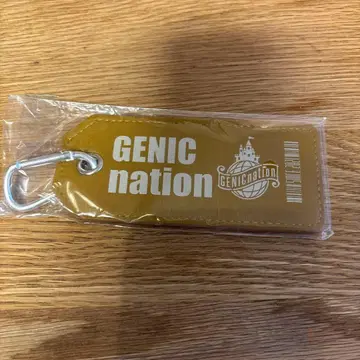 GENIC nation 키링