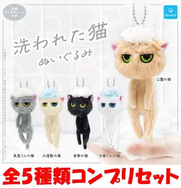 씻겨진 고양이 봉제 인형 세코나오 전 5종 컴프리셋 [새상품] 가챠