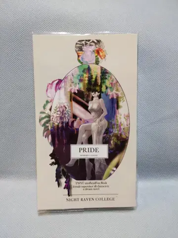 도스베로 인도 대운동회 큐티 허니의 대두 PRIDE