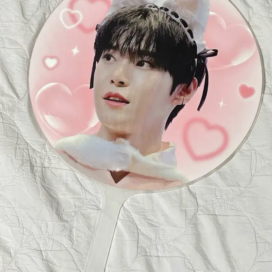 엔시티 도영고양이 우치와