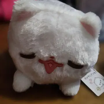 포메라니안 모찌 봉제 인형