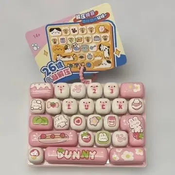 [ 미사용 새상품 ] 키보드 키링 취미 BUNNY