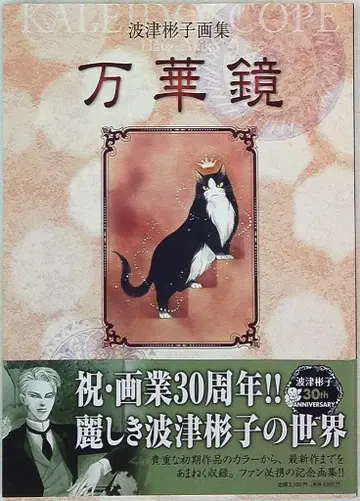 소학관 하츠 아키코 하츠 아키코 화집 만화경 (오비 포함)