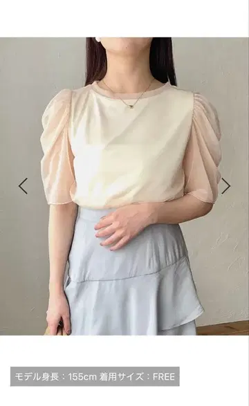 라메 시어 개더 슬리브 풀오버 오프