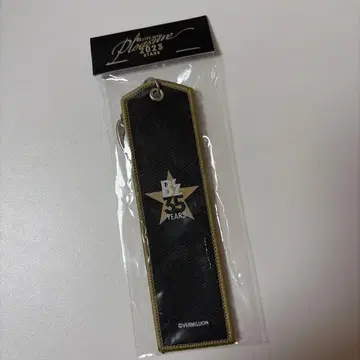 B'z LIVE-GYM Pleasure2023 STARS 플라이트 택