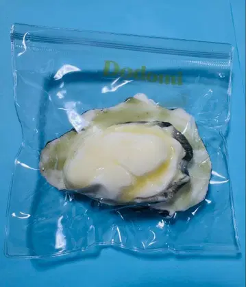 도도미 스퀴즈 굴