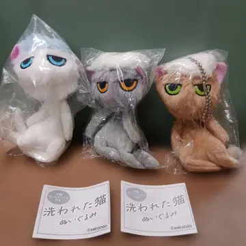 씻은 고양이 가챠 봉제 인형 3종 세트
