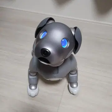 aibo 흑임자 에디션 아이보