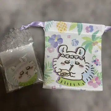 치이카와 모몽가