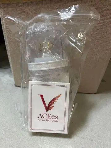 ACEes Arena Tour 2026 응원봉