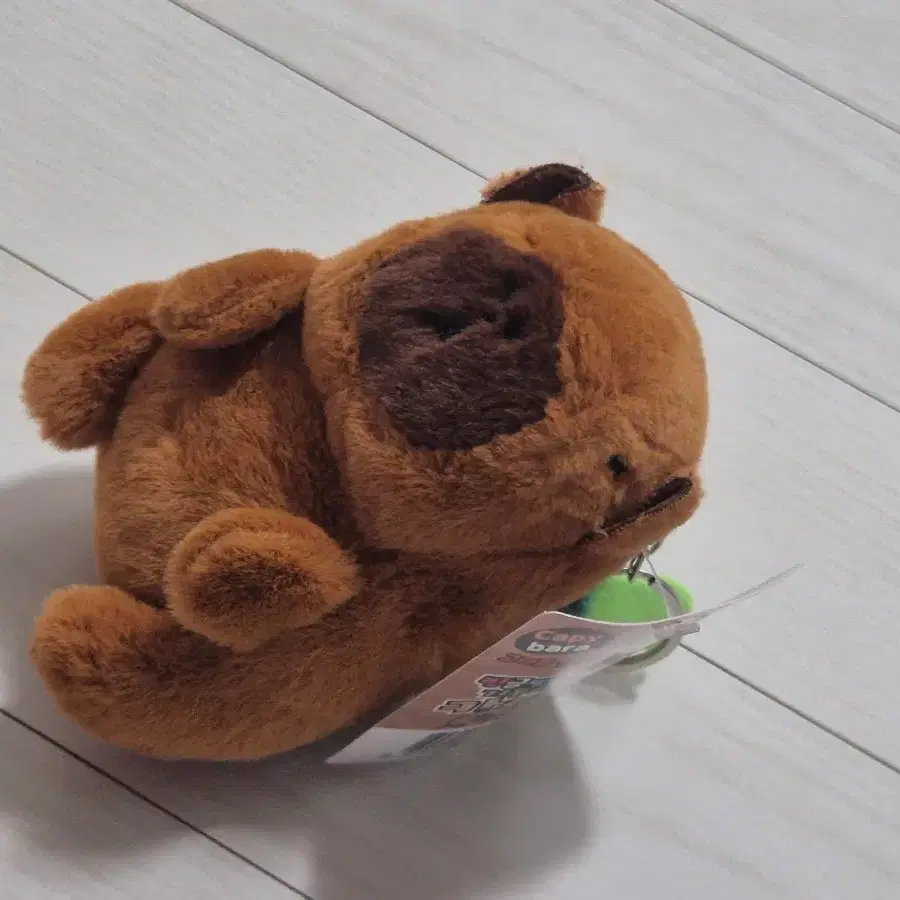 카피바라 키링