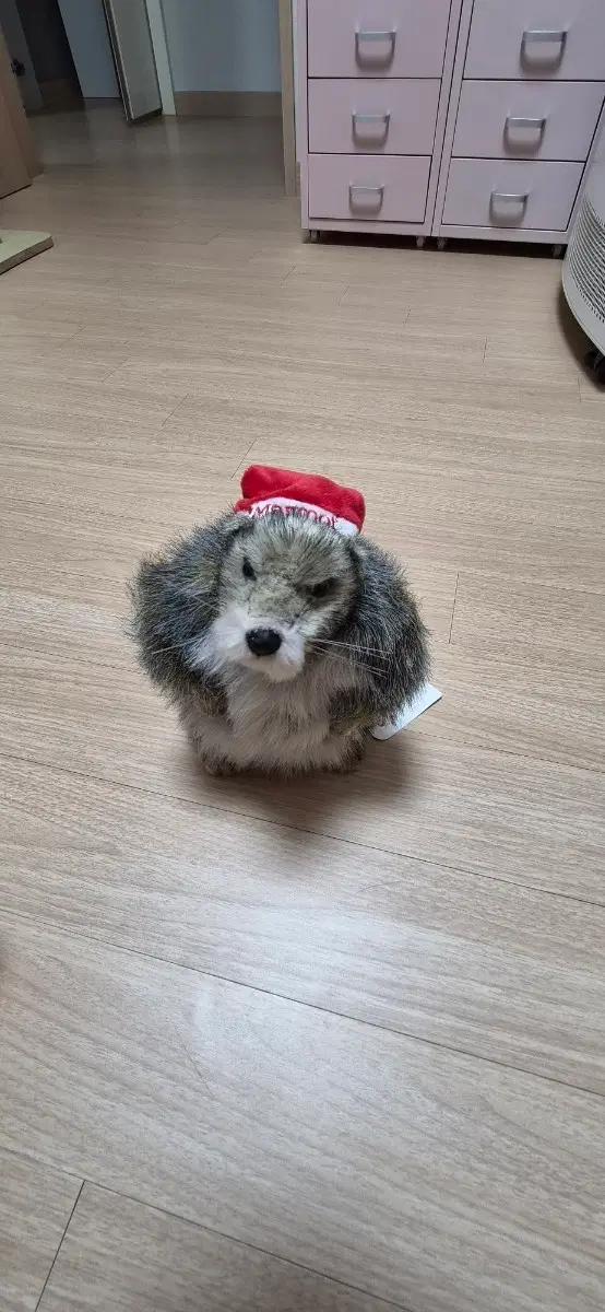 마모트인형