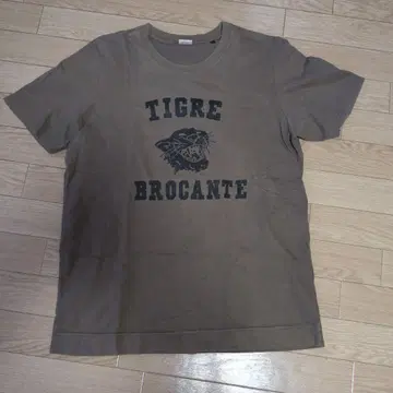 TIGRE BROCANTE 티셔츠 카키