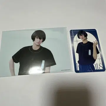 앙스테 사쿠마 리츠 란브로 밤