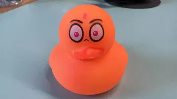 LS005