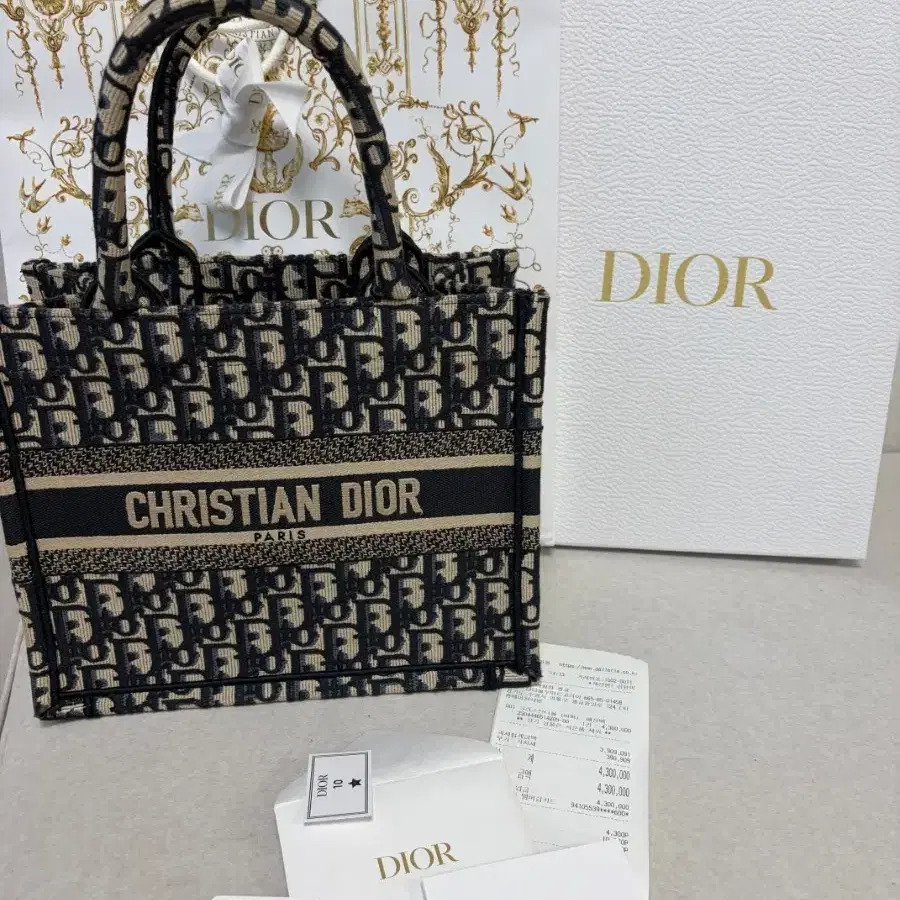 Dior Book Tote 스몰 백