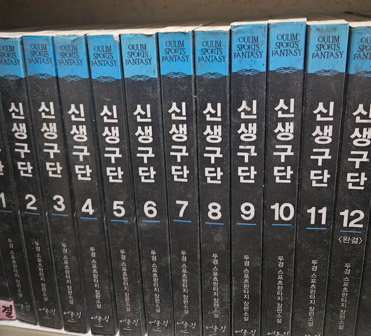 신생구단1-12완