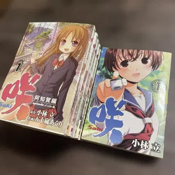 사키 Saki 2권 아치가편 episode of side A 6권
