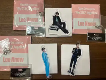 Stray Kids Exhibition We STAY together