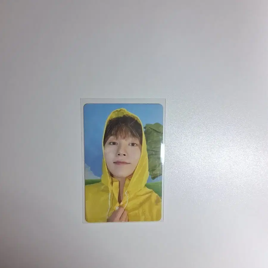 세븐틴 승관 헤븐 캐럿반 앨포