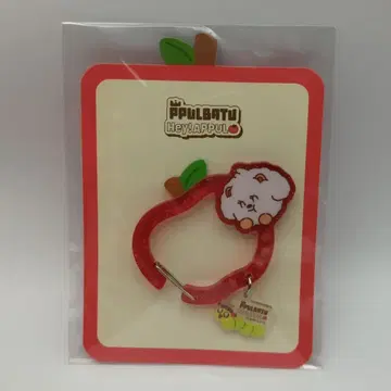 TXT Hey! APPUL PPULBATU 범규 카라비너