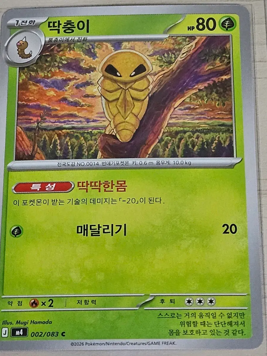 [최저가] 포켓몬 카드 딱충이 002/083