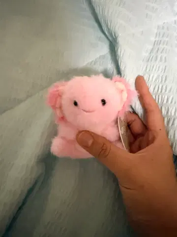 인형 핑크색 젤리캣인형 키링