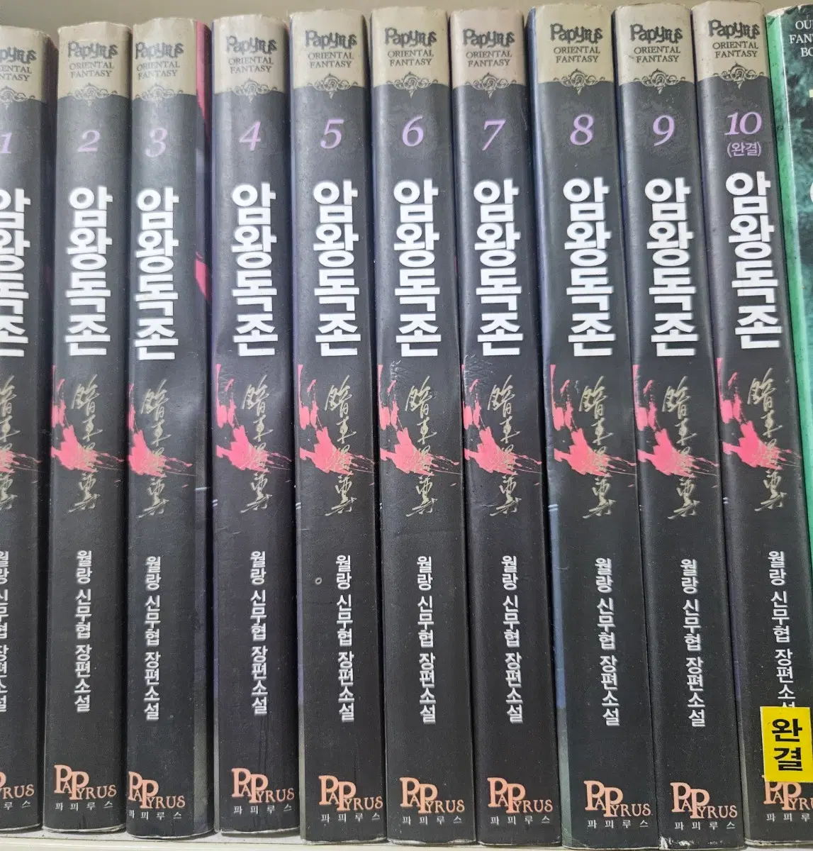암왕독존1-10완