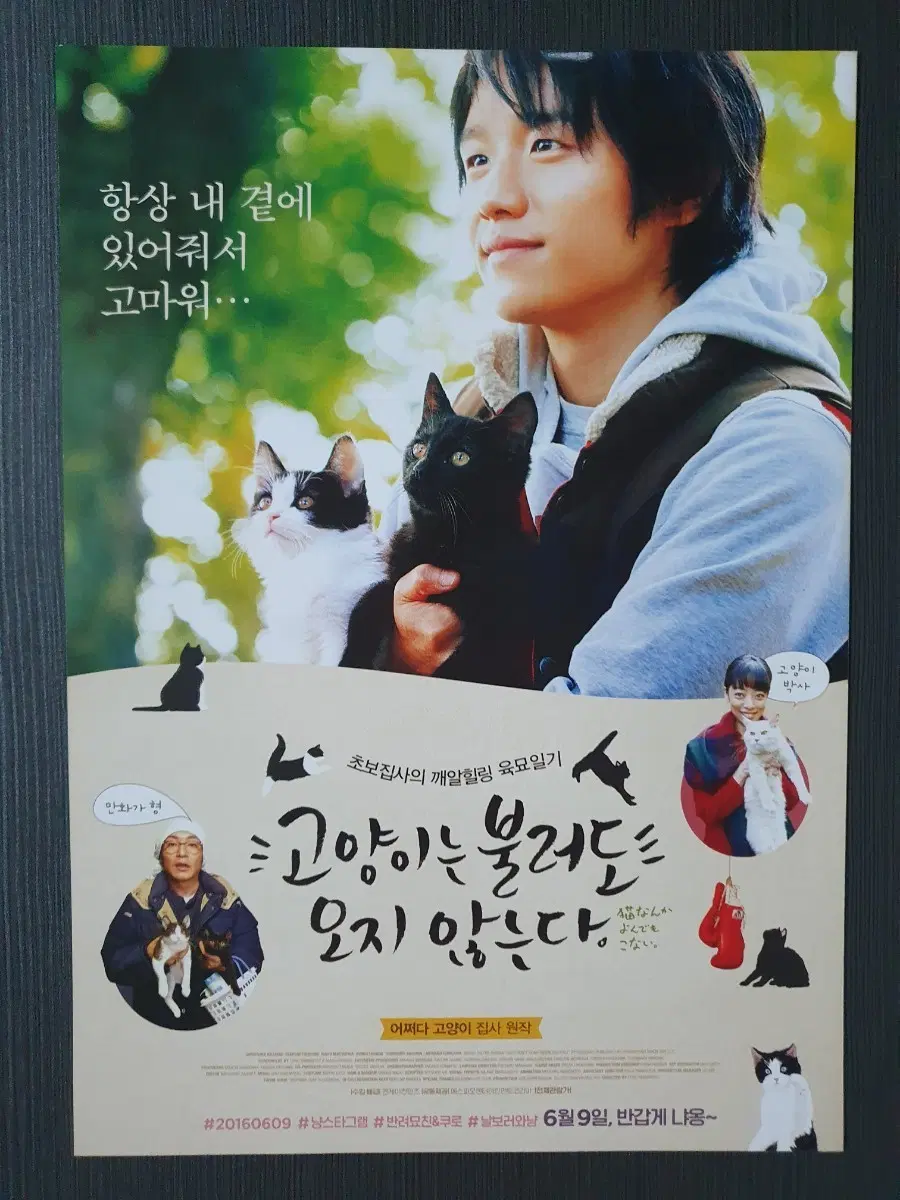 고양이는 불러도 오지 않는다. 일본 영화 전단지 팜플렛 A4