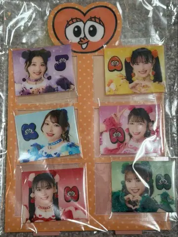 초토키메키 센젠부 조장상