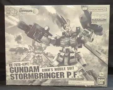 BANDAI SPIRITS MG 1/100 건담 빌드 다이버즈 Genius Head Line 건담 스톰 브링거 P.F.