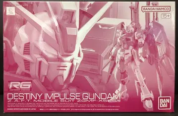 BANDAI SPIRITS RG 1/144 기동전사 건담 SEED DESTINY MSV 데스티니 임펄스