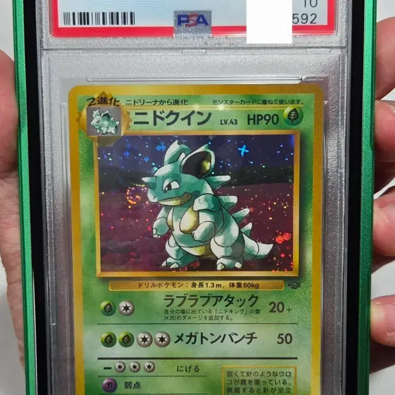 1996 포켓몬카드 일판 정글 니드퀸 홀로 PSA10