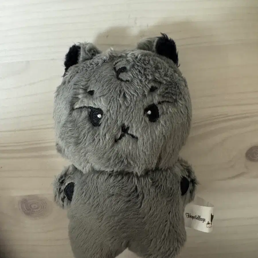 루시 최상엽 엽냥이