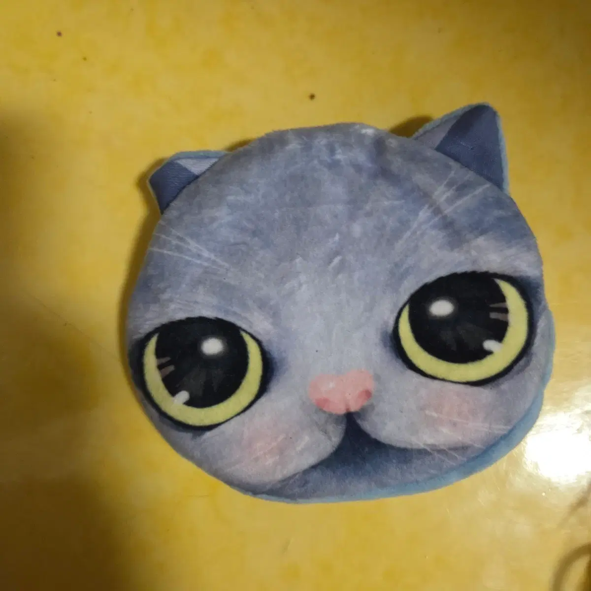 고양이 파우치