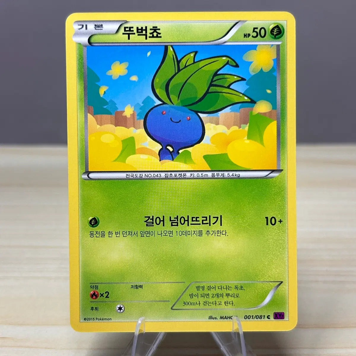 [고대 포켓몬카드] 뚜벅쵸 XY7 001/081 C