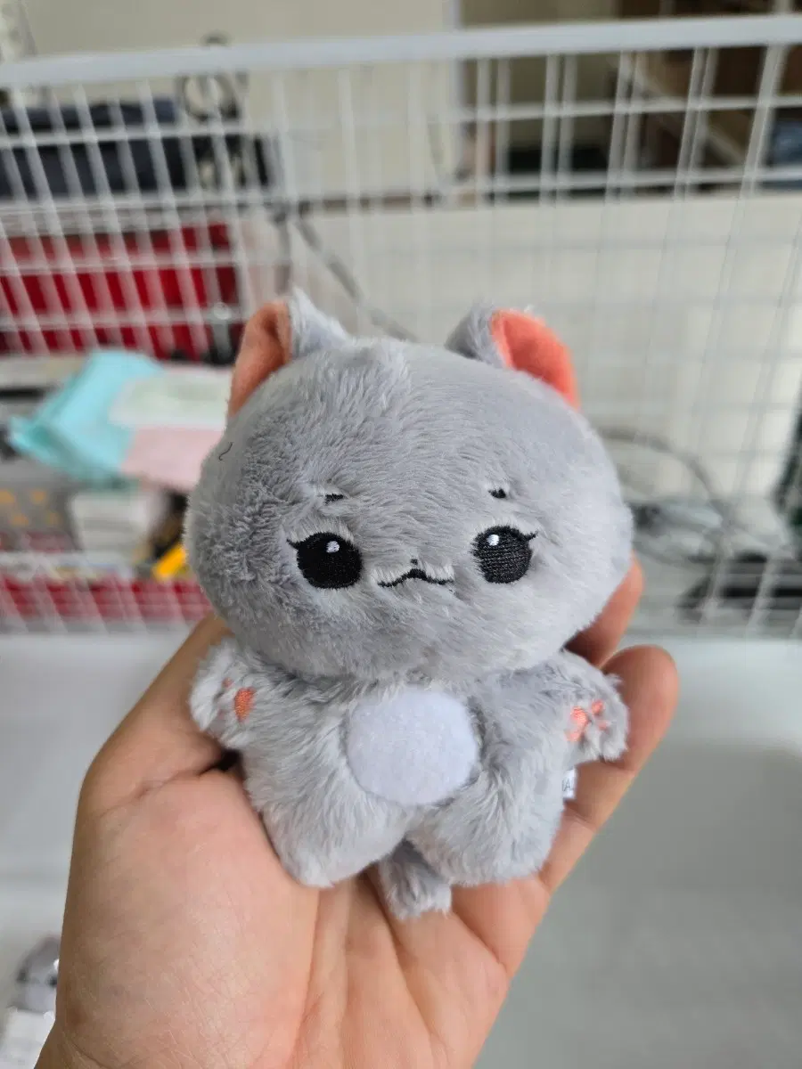 회색 고양이 인형