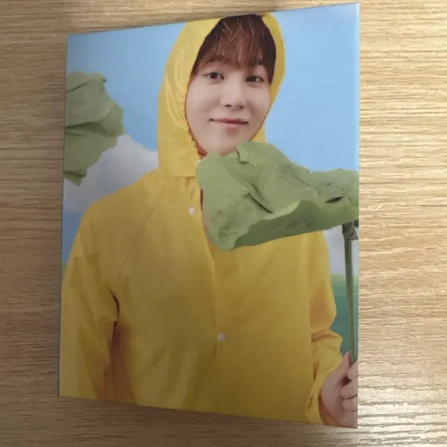 세븐틴 seventeenth heaven 캐럿반 승관 포카 바인더 일괄