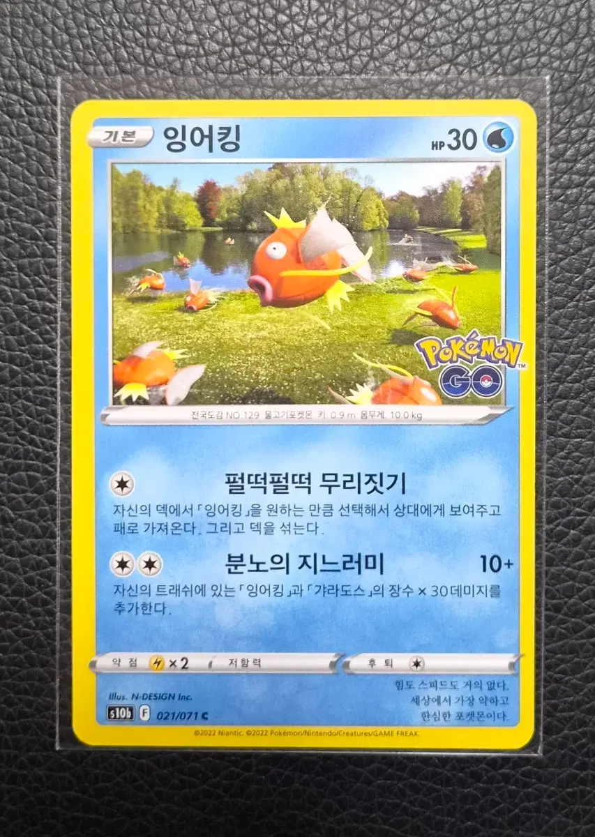 포켓몬 카드 잉어킹 포켓몬고