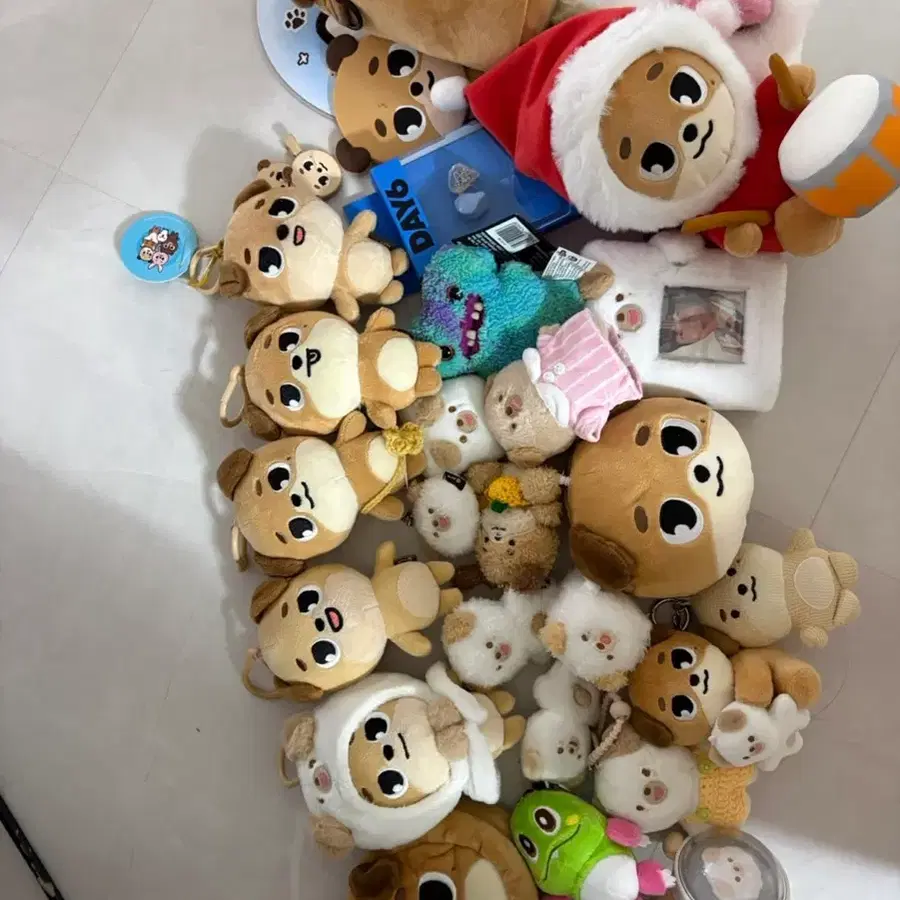 데이식스 데니멀즈 도운 굿즈 양도