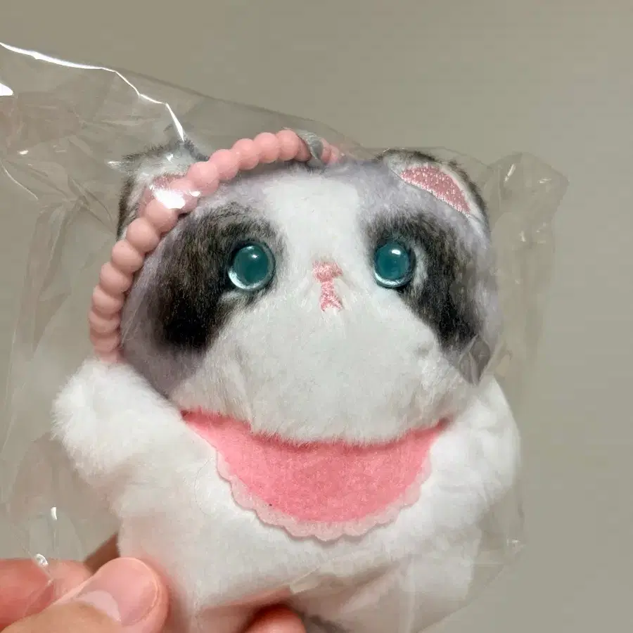 렉돌 냥이 키링