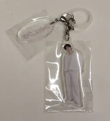 SEVENTEEN 2026 약속 DINO 캡슐 토이