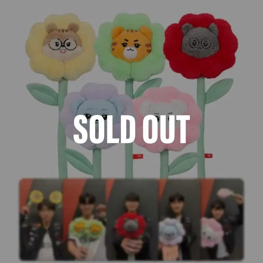 T1 애니멀 프렌즈 꽃다발 도란 판매