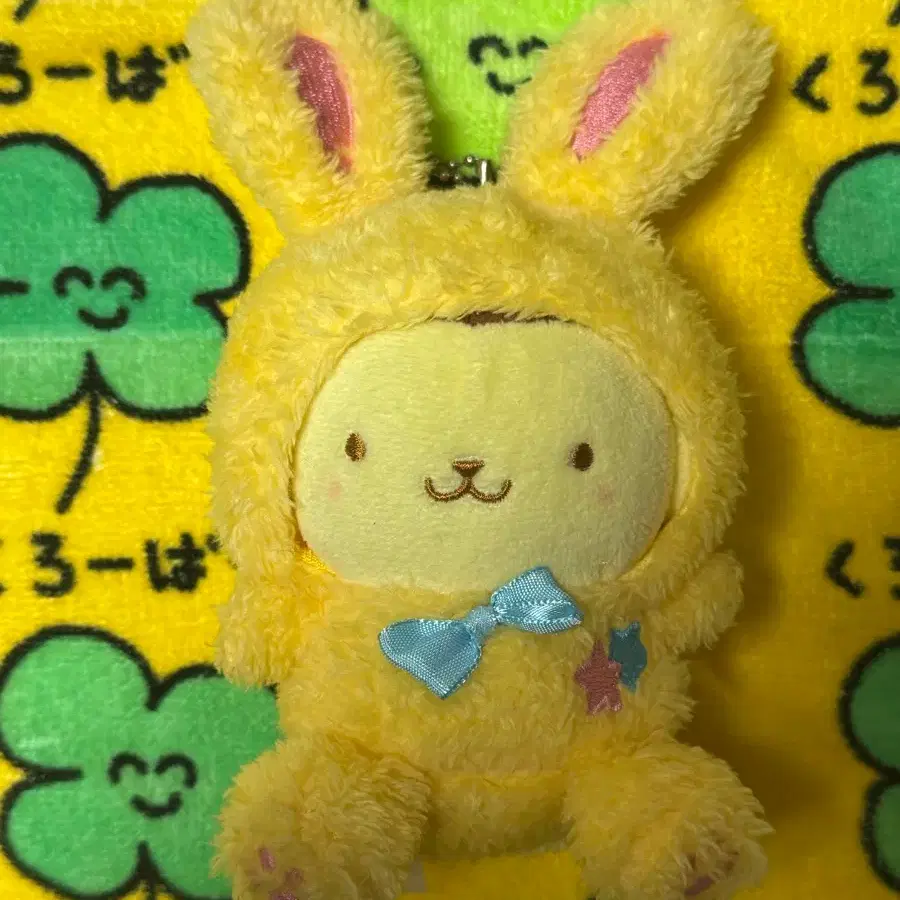 토끼 폼폼푸린