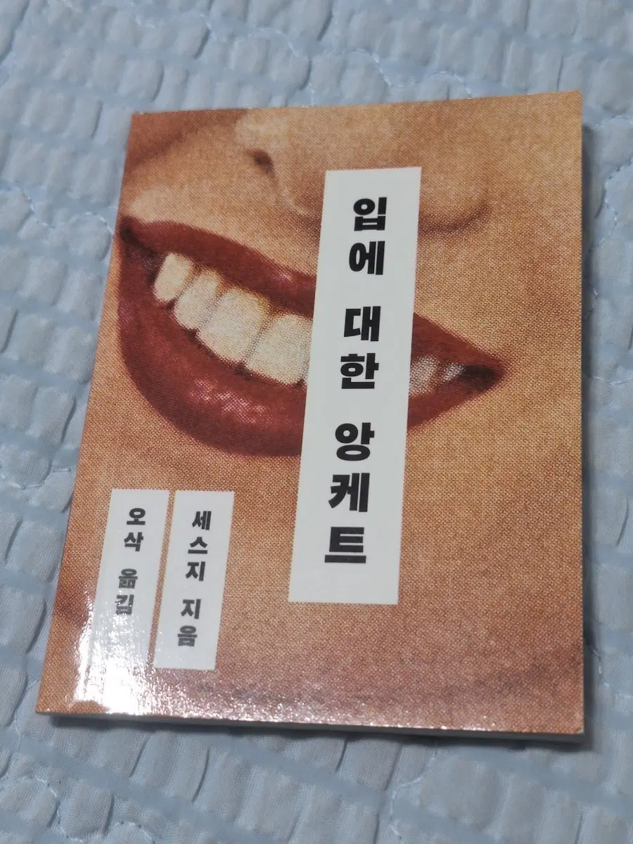 입에 대한 앙케트(설명문 참고!!)