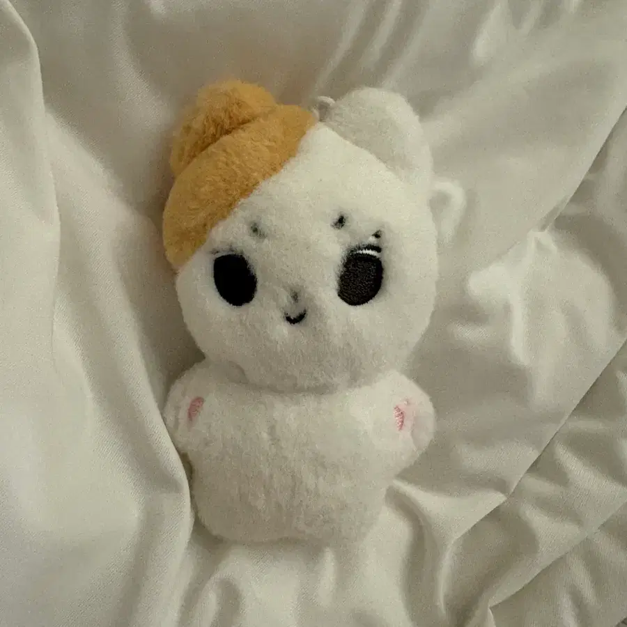 엔하이픈 정원 양정원 인형 양도 쩡냥이 짱냥이