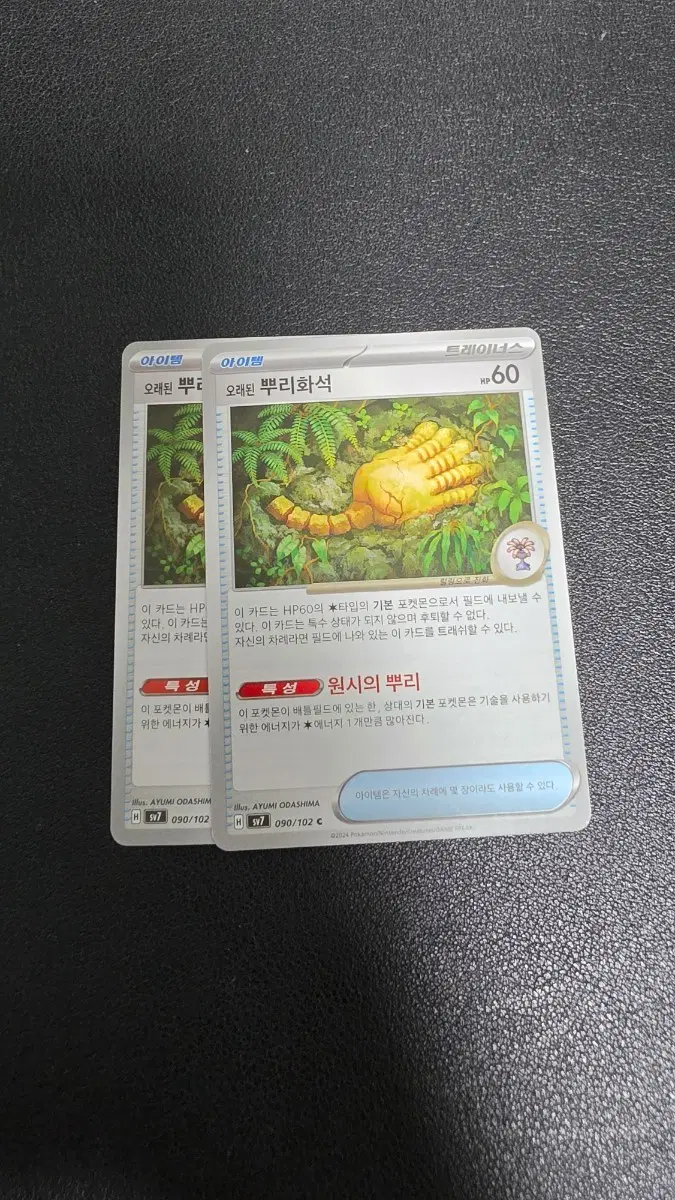 포켓몬 카드 오래된 뿌리화석