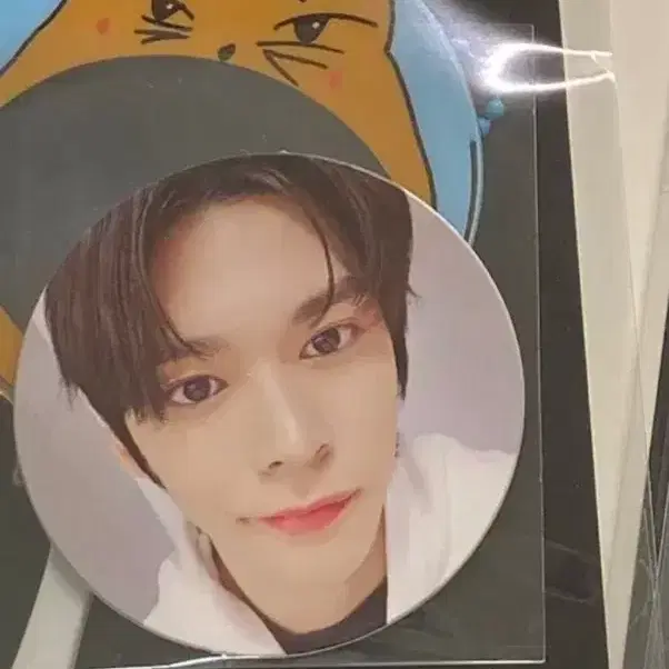 라이즈 은석 미니팬