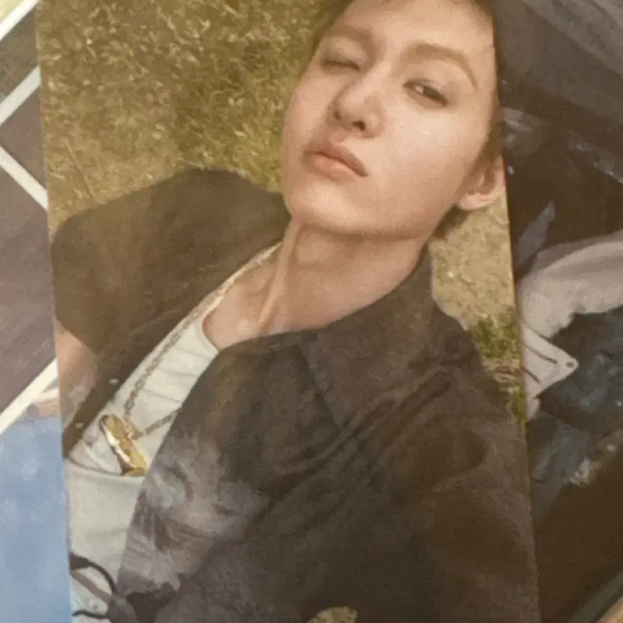 코르티스 위버스 앨범 포카