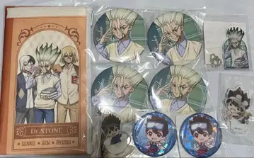 Dr.STONE 이시가미 센쿠 독서의 가을 캔뱃지 파우치 크롬 키링